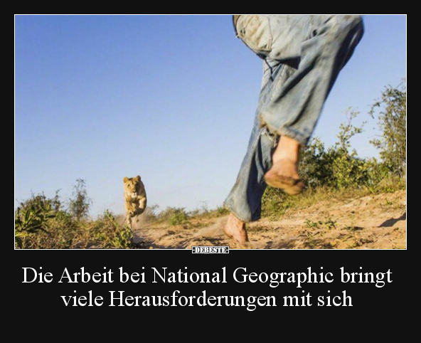 Die Arbeit bei National Geographic bringt viele.. - Lustige Bilder | DEBESTE.de