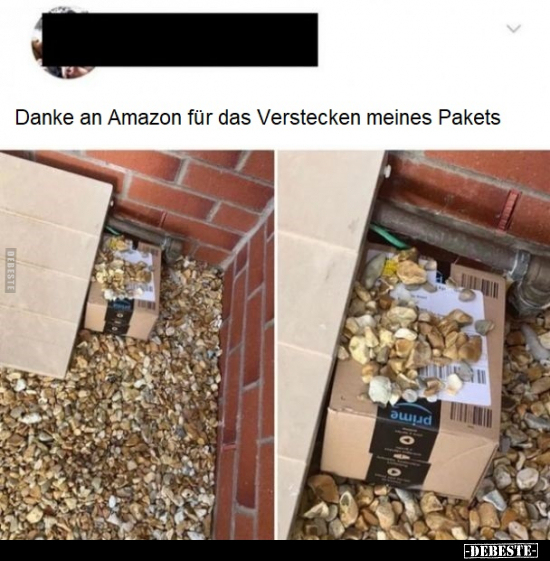 Danke an Amazon für das Verstecken meines Pakets.. - Lustige Bilder | DEBESTE.de