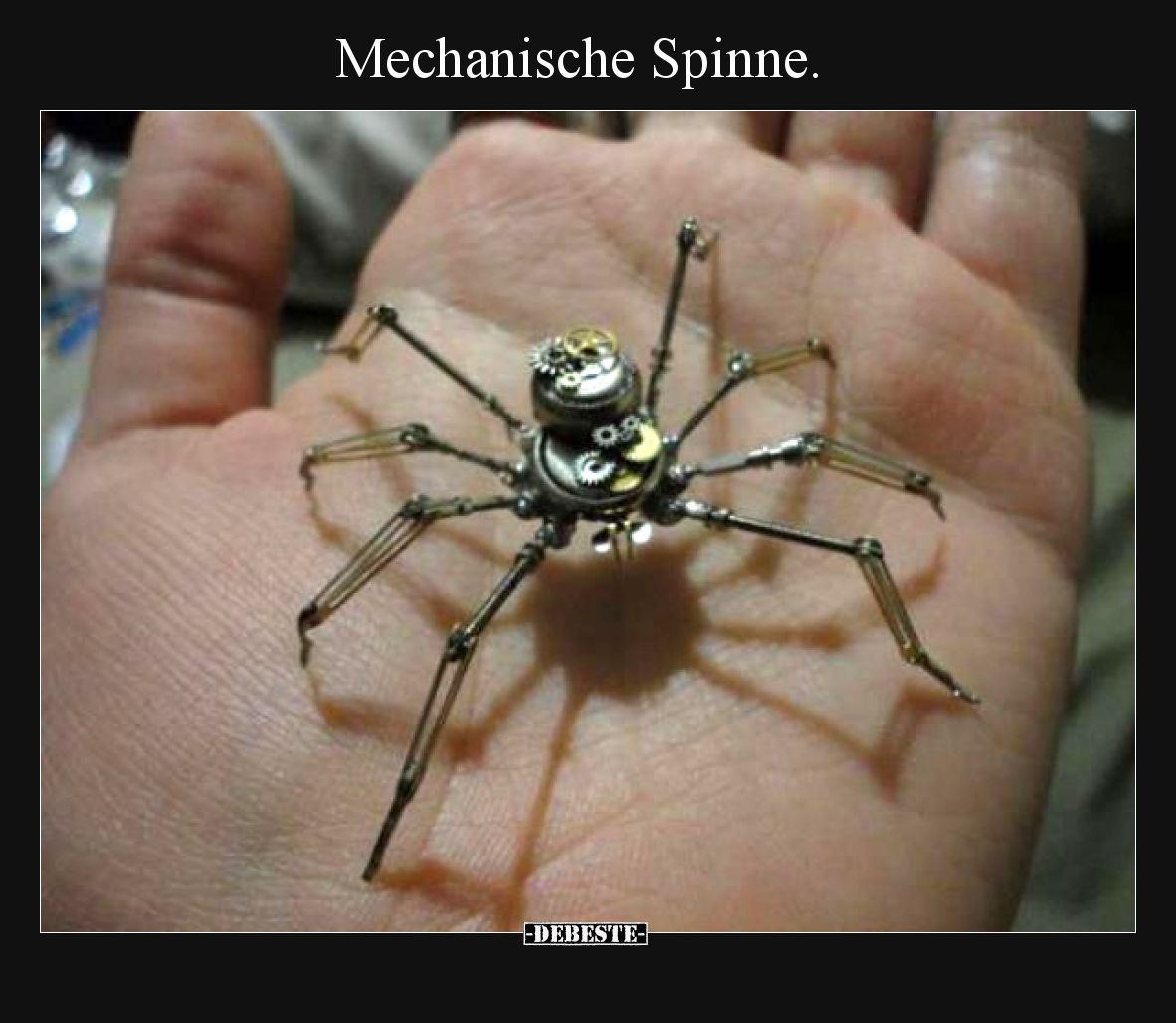 Mechanische Spinne.