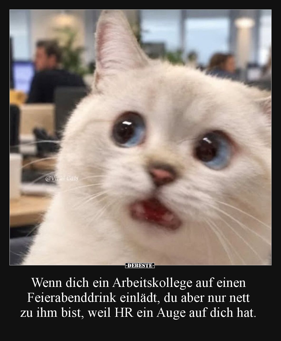 Wenn dich ein Arbeitskollege auf einen Feierabenddrink einlädt, du aber nur nett zu ihm bist, weil HR ein Auge auf dich hat.