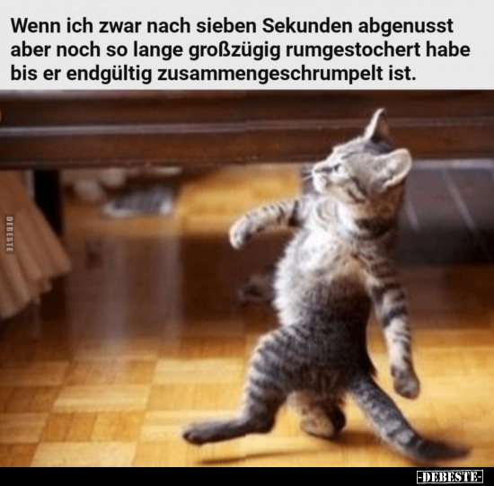 Wenn ich zwar nach sieben Sekunden abgenusst aber noch so.. - Lustige Bilder | DEBESTE.de