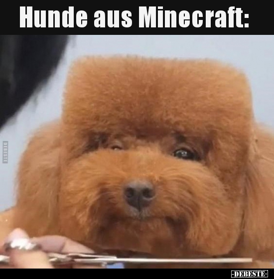 Hunde aus Minecraft.. - Lustige Bilder | DEBESTE.de
