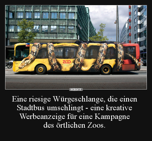Eine riesige Würgeschlange, die einen Stadtbus umschlingt.. - Lustige Bilder | DEBESTE.de