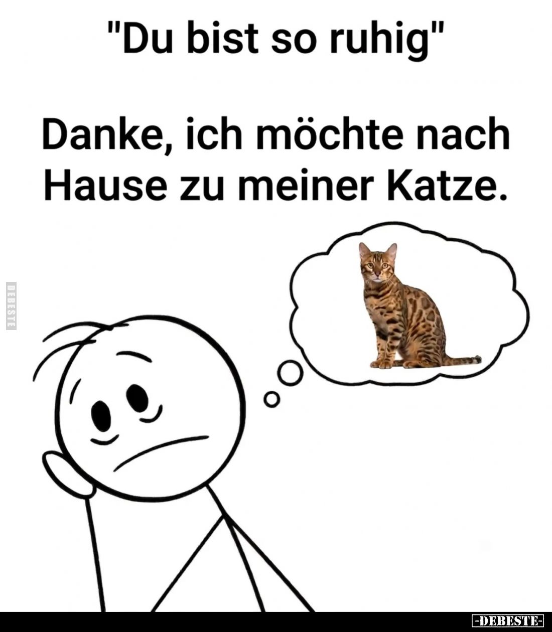 "Du bist so ruhig." -
Danke, ich möchte nach Hause zu meiner Katze.