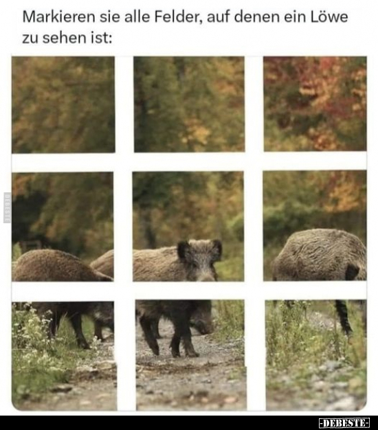 Markieren sie alle Felder, auf denen ein Löwe zu sehen ist.. - Lustige Bilder | DEBESTE.de