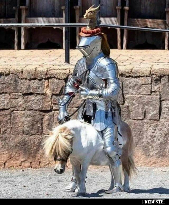  - Lustige Bilder | DEBESTE.de