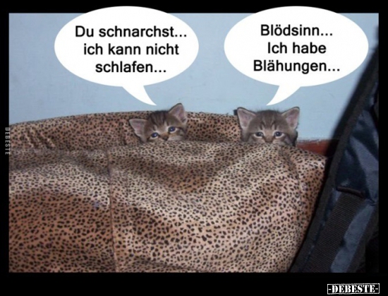Du schnarchst... ich kann nicht schlafen... - Lustige Bilder | DEBESTE.de