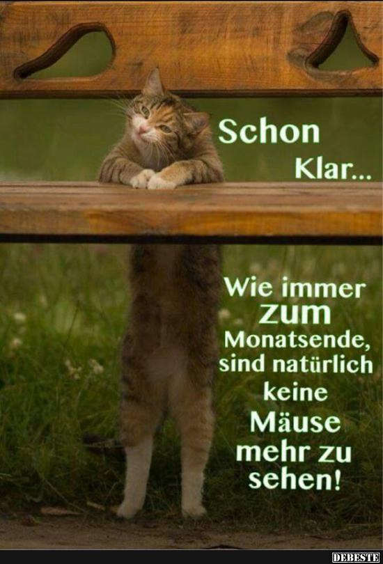 Wie immer zum Monatsense, sind natürlich keine Mäuse.. - Lustige Bilder | DEBESTE.de
