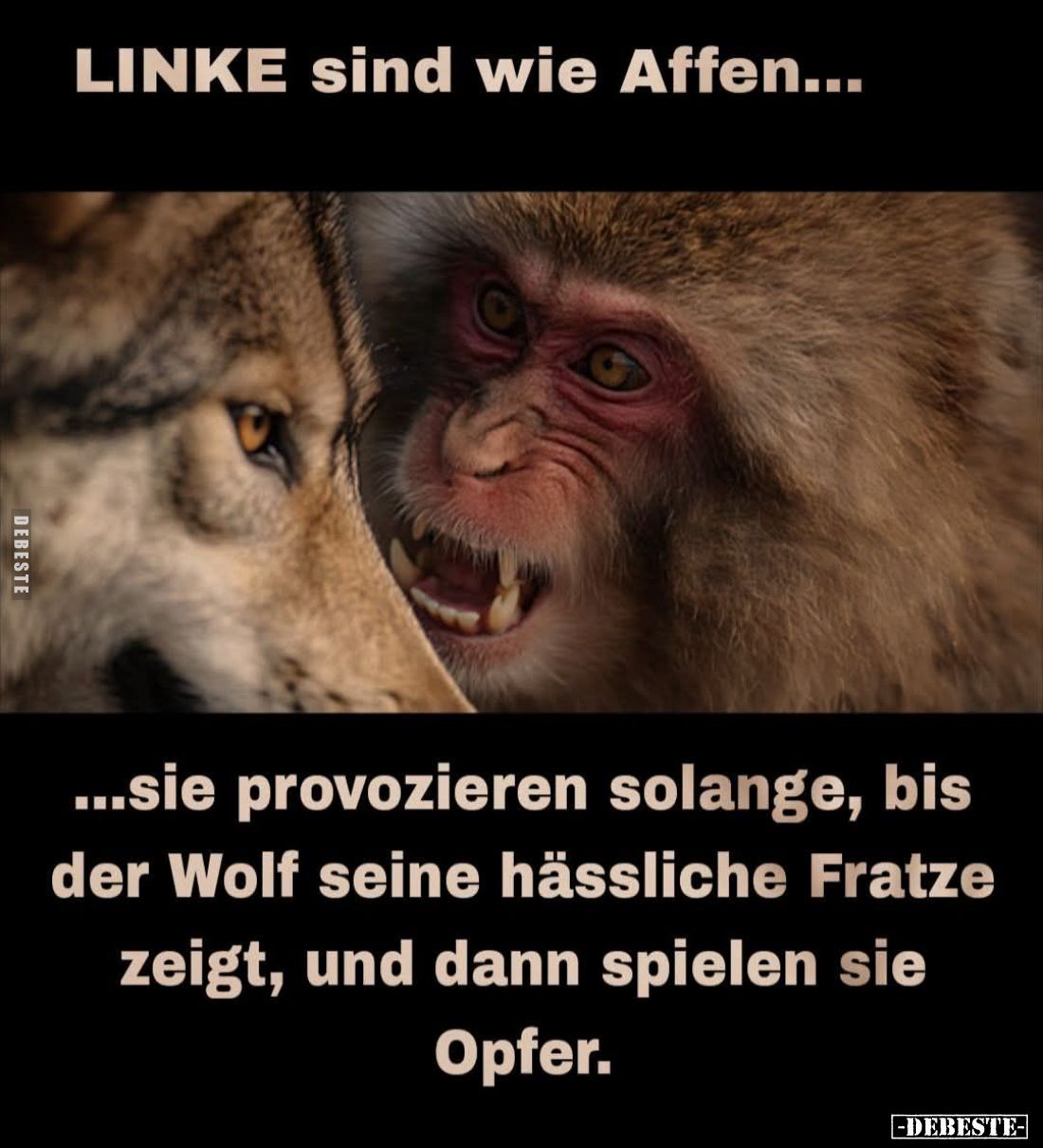 LINKE sind wie Affen... - Lustige Bilder | DEBESTE.de