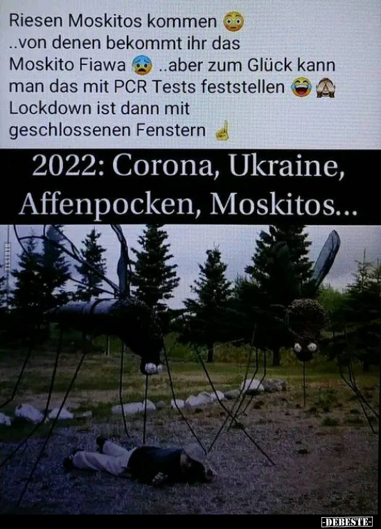 ukraine lustig, moskitos lustige bilder, affenpocken