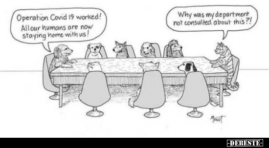  - Lustige Bilder | DEBESTE.de