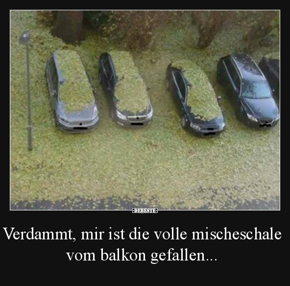 Verdammt, mir ist die volle mischeschale vom balkon gefallen... - Lustige Bilder | DEBESTE.de