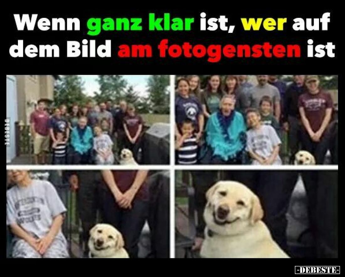 Wenn ganz klar ist, wer auf dem Bild am fotogensten ist.