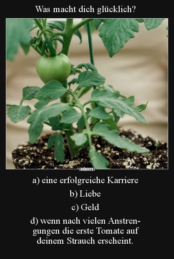 Was macht dich glücklich?..