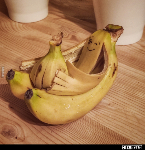  - Lustige Bilder | DEBESTE.de