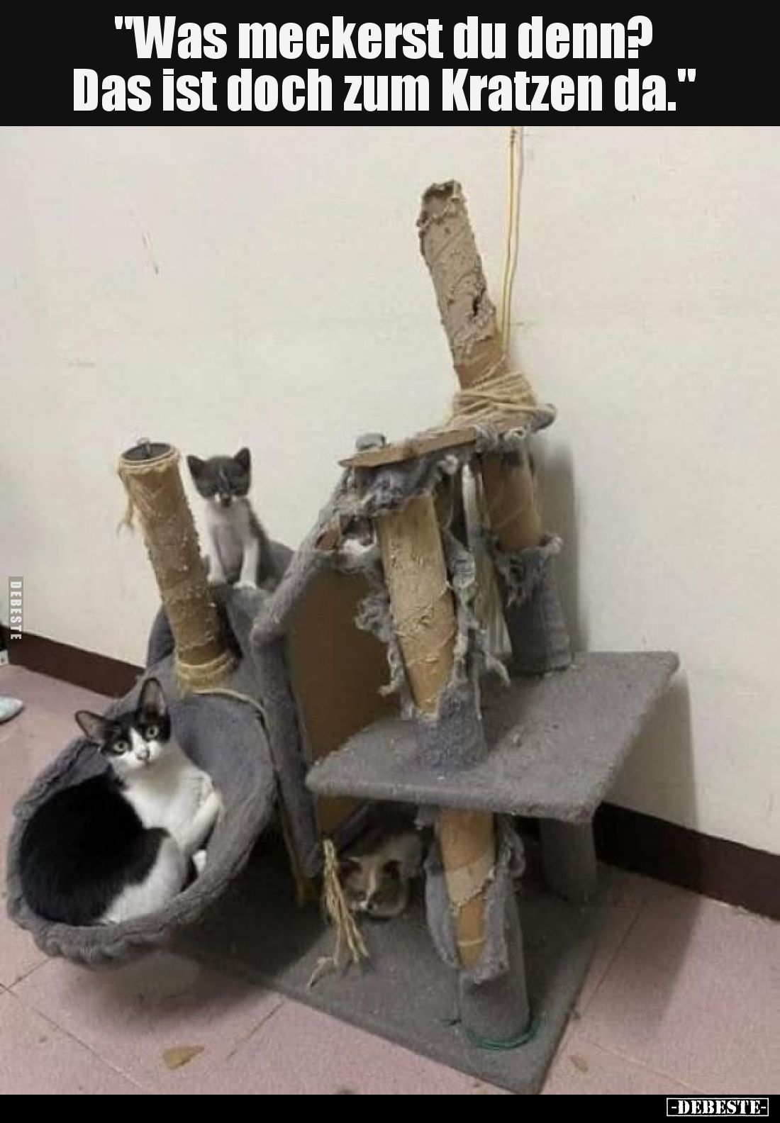 Was meckerst du denn? Das ist doch zum Kratzen da.