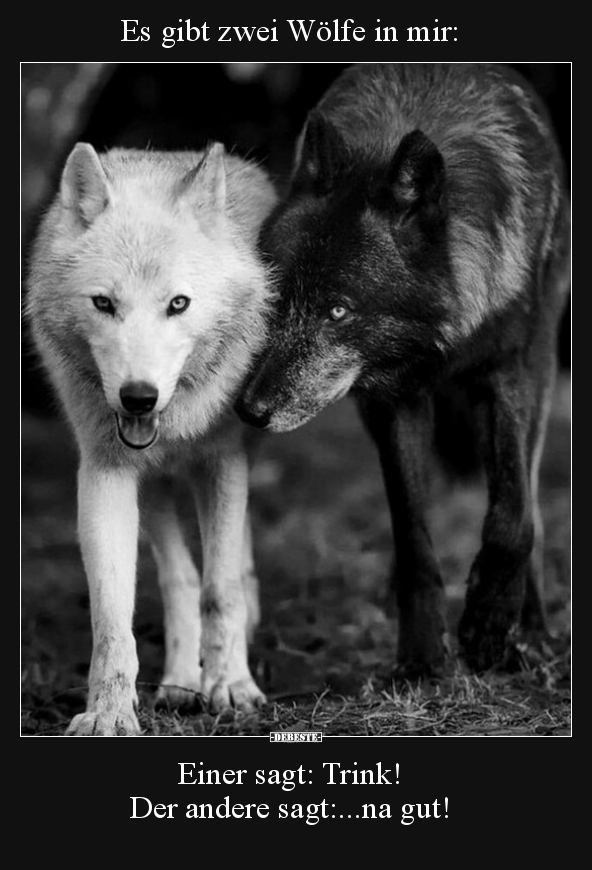 Es gibt zwei Wölfe in mir.. - Lustige Bilder | DEBESTE.de