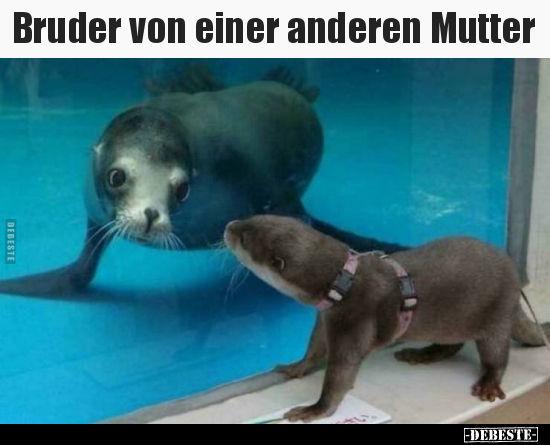 Bruder von einer anderen Mutter..