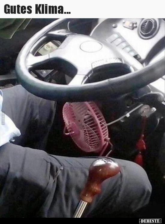 Gutes Klima...