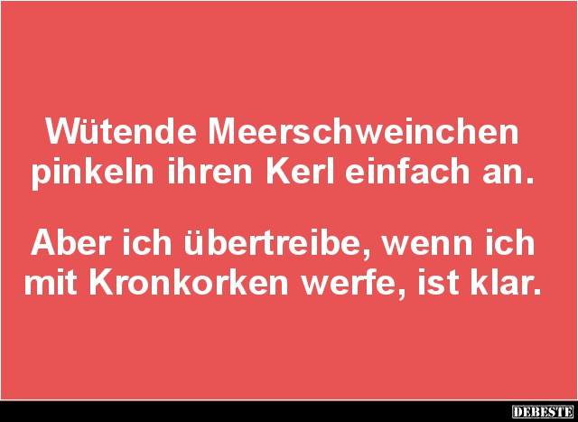 Wütende Meerschweinchen pinkeln ihren Kerl einfach an.. - Lustige Bilder | DEBESTE.de