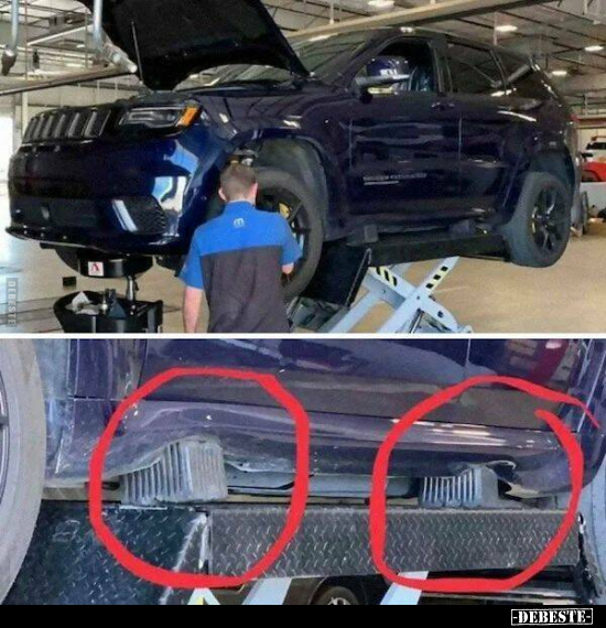  - Lustige Bilder | DEBESTE.de