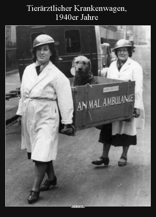 Tierärztlicher Krankenwagen, 1940er Jahre.. - Lustige Bilder | DEBESTE.de