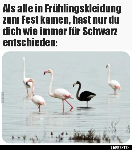 Als alle in Frühlingskleidung zum Fest kamen, hast nur du.. - Lustige Bilder | DEBESTE.de