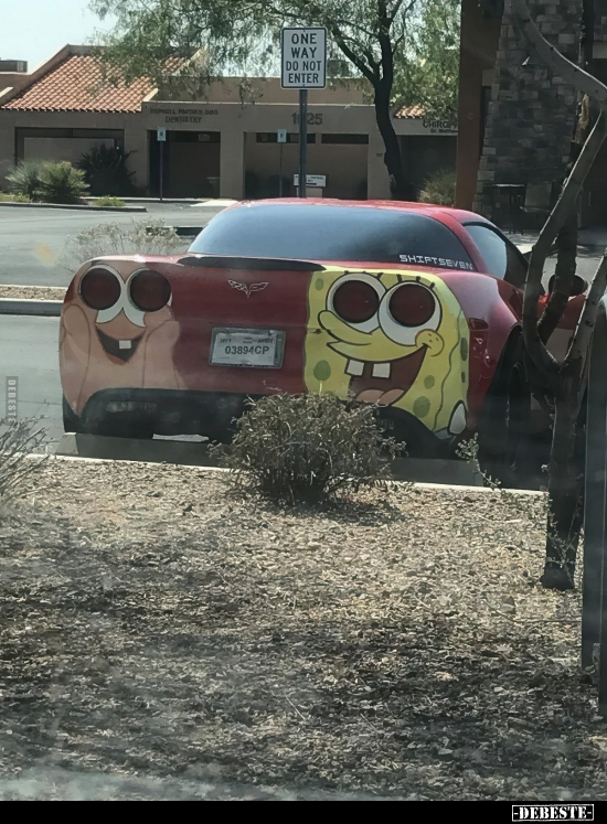 Sponge Bob, Autos