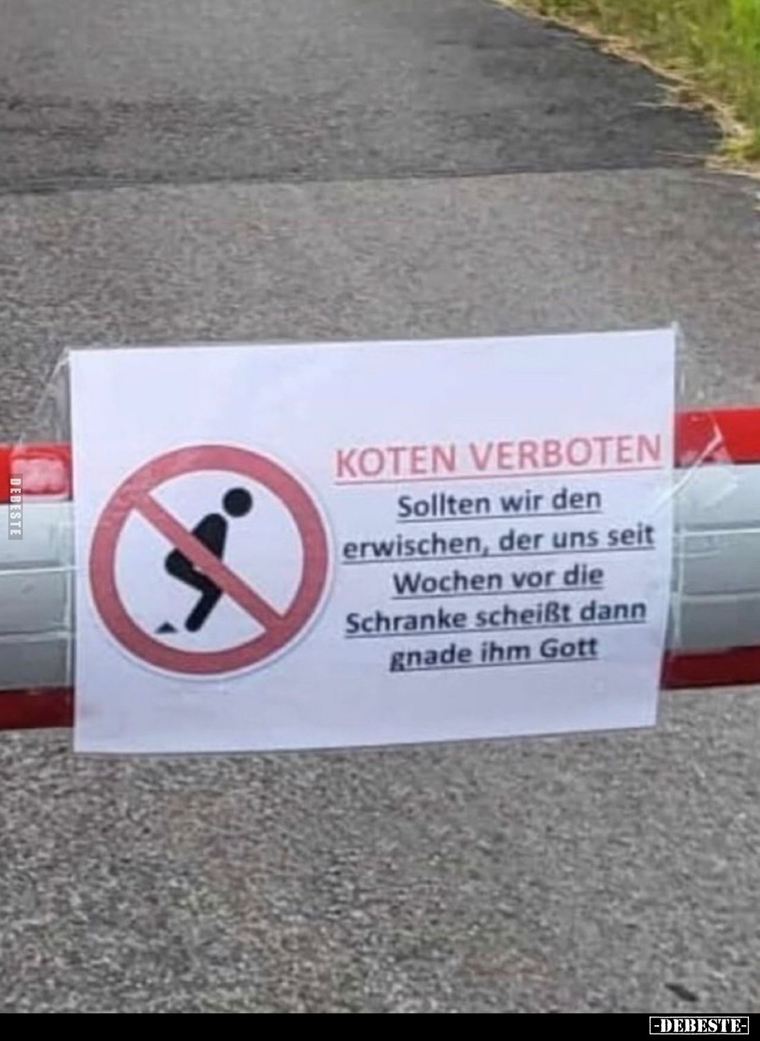 KOTEN VERBOTEN
Sollten wir den erwischen, der uns seit Wochen vor die Schranke scheißt dann gnade ihm Gott