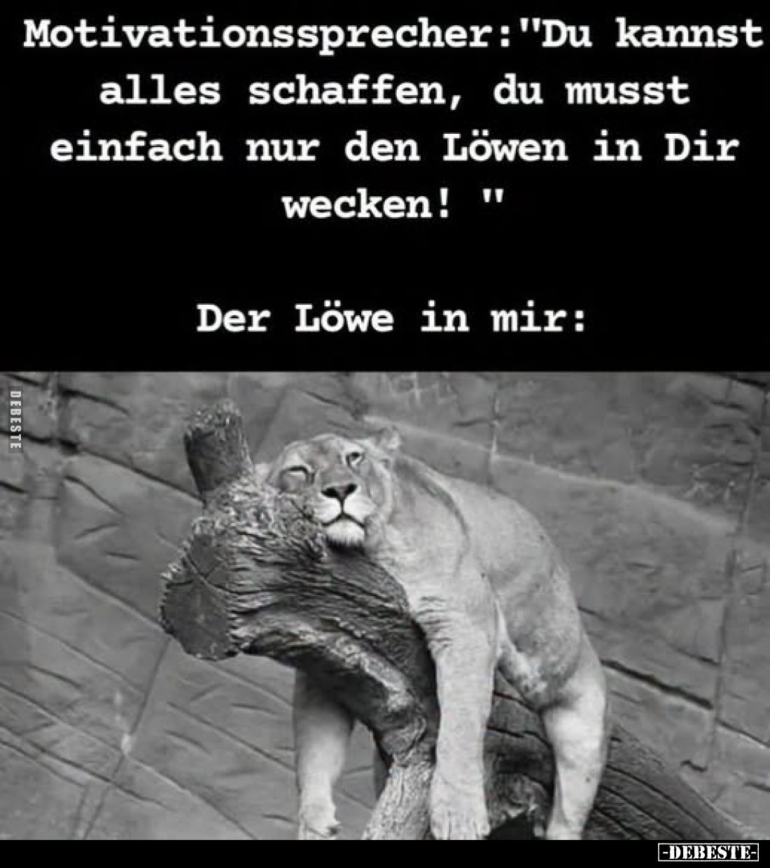 Motivationssprecher: "Du kannst alles schaffen, du musst einfach nur den Löwen in Dir wecken!" -
Der Löwe in mir: