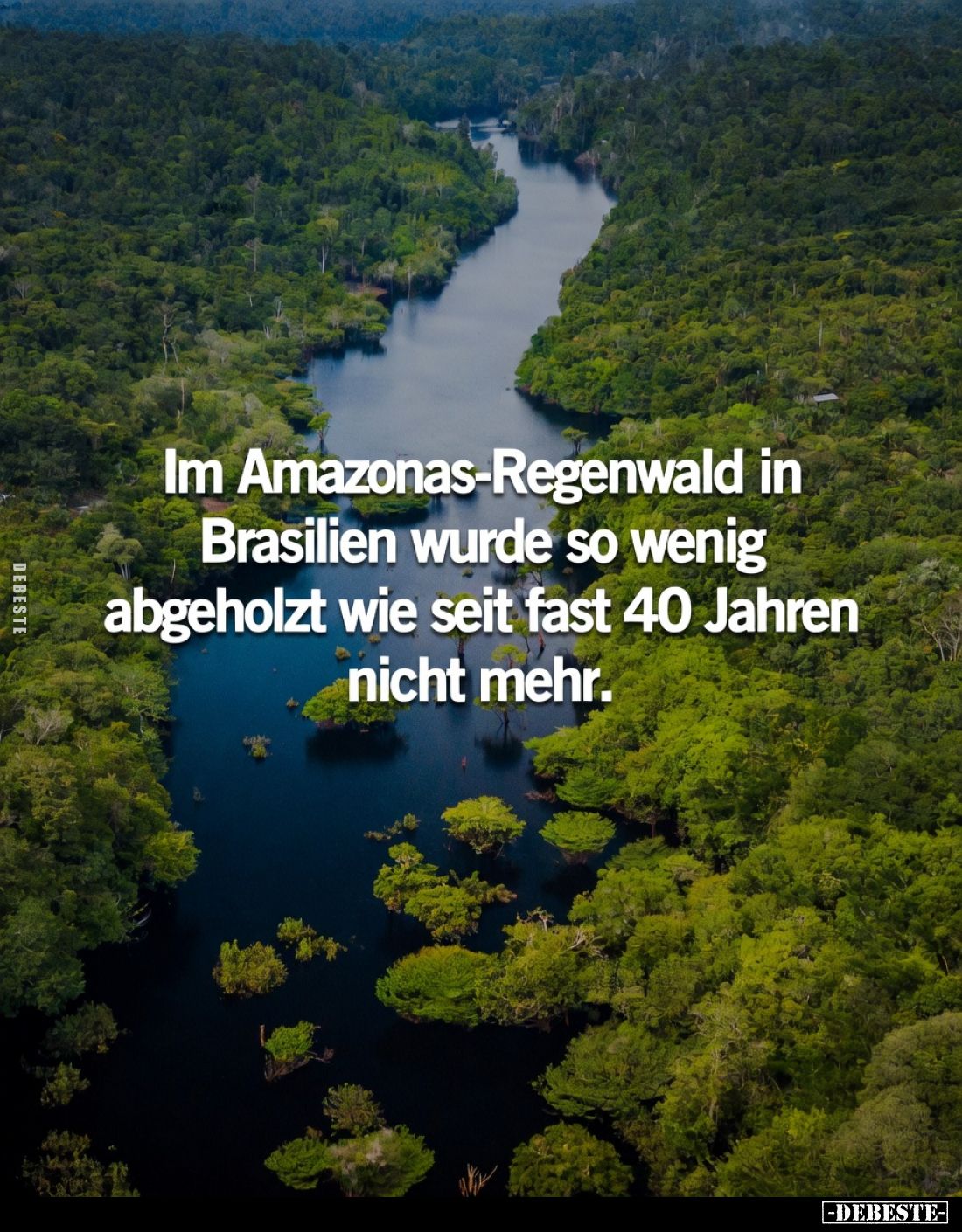 Im Amazonas-Regenwald in Brasilien wurde so wenig abgeholzt wie seit fast 40 Jahren nicht mehr.