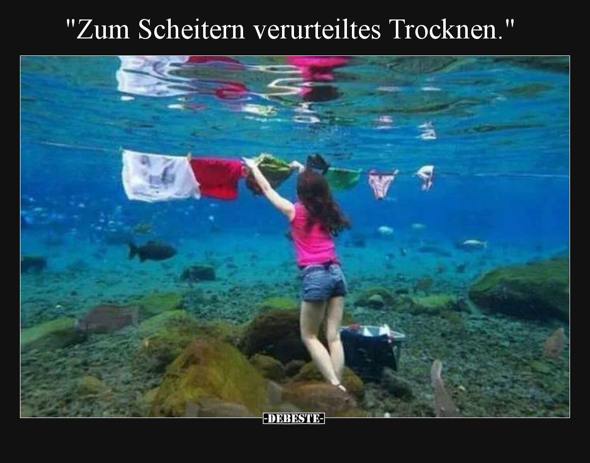 "Zum Scheitern verurteiltes Trocknen.".. - Lustige Bilder | DEBESTE.de