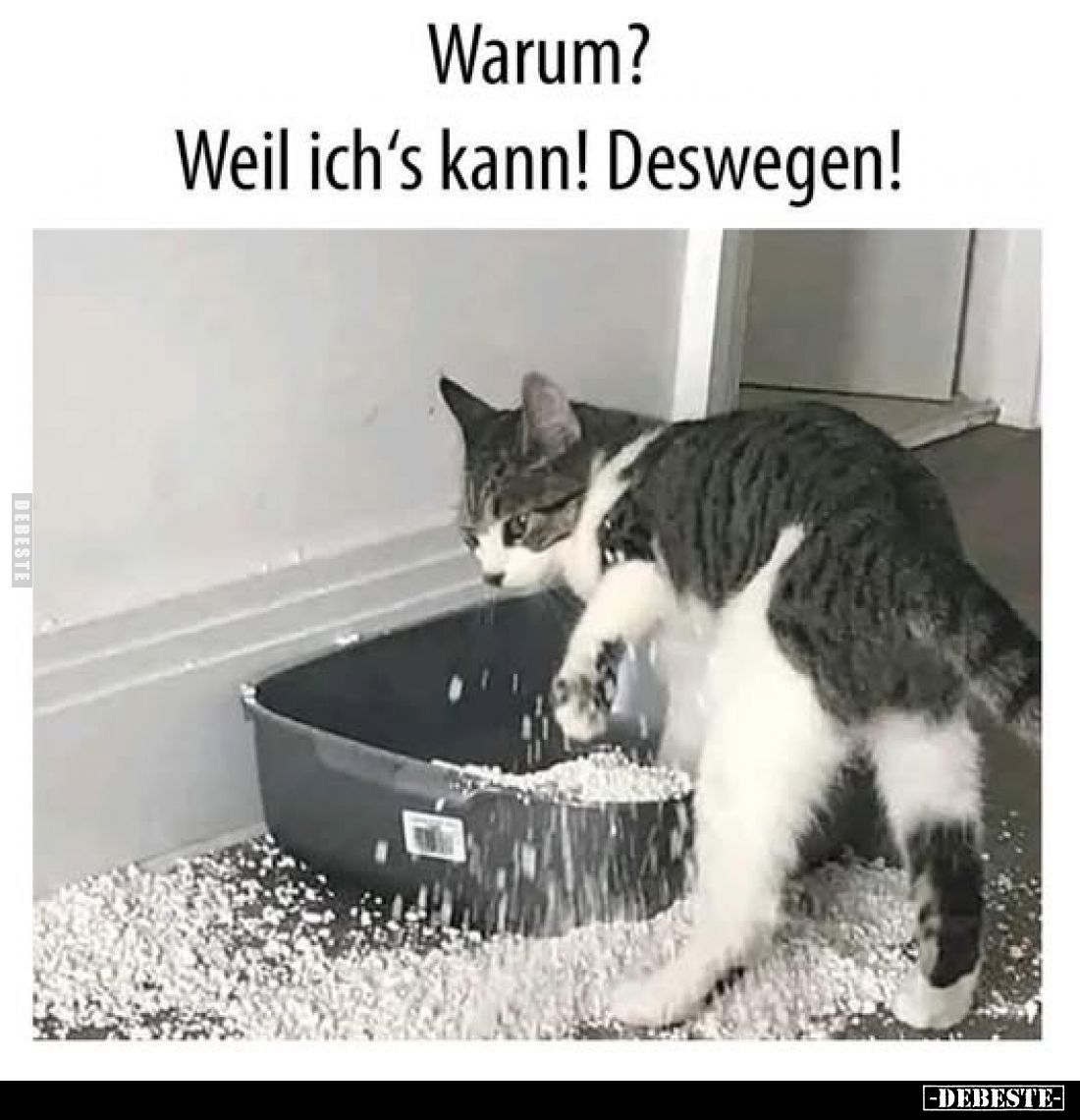 Warum?
Weil ich's kann! Deswegen!