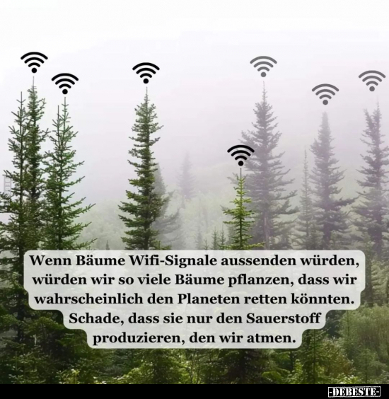 Wenn Bäume Wifi-Signale aussenden würden.. - Lustige Bilder | DEBESTE.de