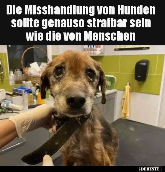 Die Misshandlung von Hunden sollte genauso strafbar sein.. - Lustige Bilder | DEBESTE.de