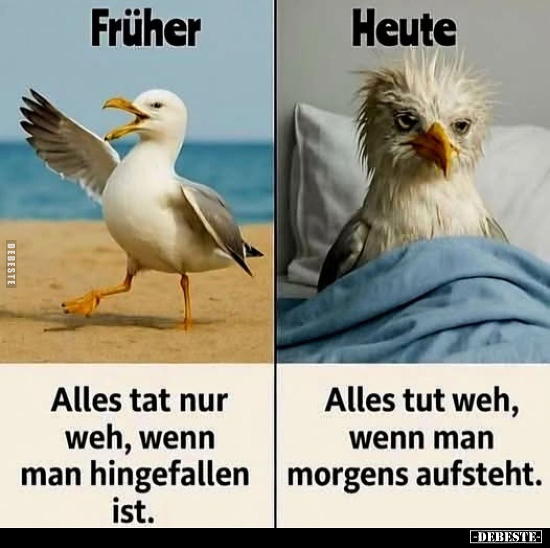 Früher
-
Alles tat nur weh, wenn man hingefallen ist.
-
Heute
-
Alles tut weh, wenn man morgens aufsteht.