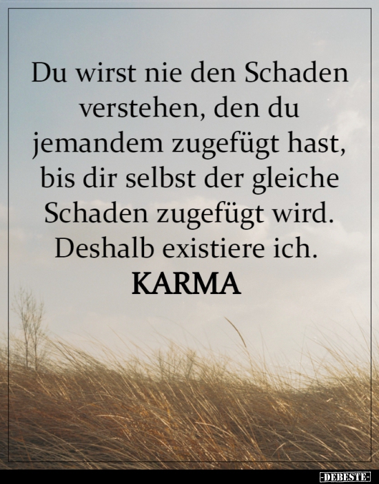 Du wirst nie den Schaden verstehen, den du jemandem..