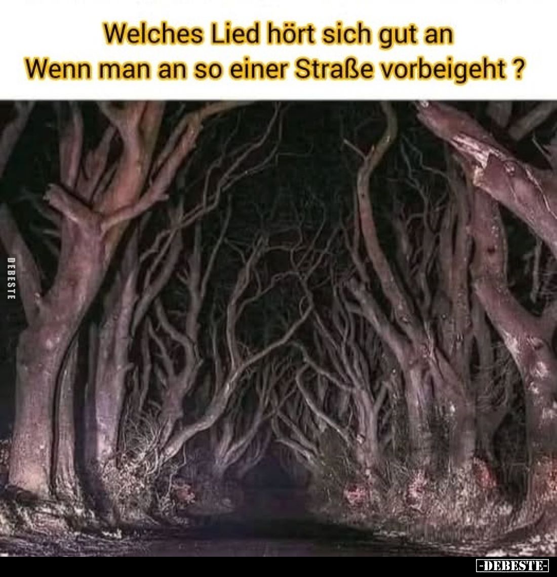Welches Lied hört sich gut an Wenn man an so einer Straße.. - Lustige Bilder | DEBESTE.de