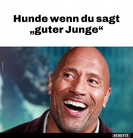 Hunde wenn du sagt "guter Junge"... - Lustige Bilder | DEBESTE.de