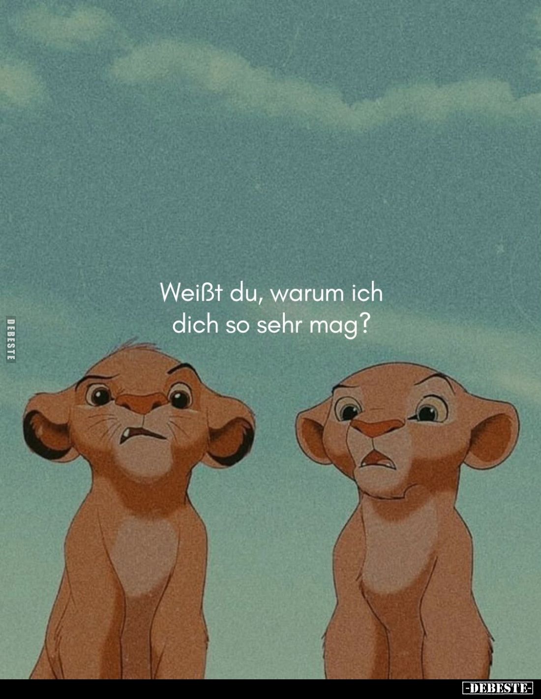 Weißt du, warum ich dich so sehr mag?