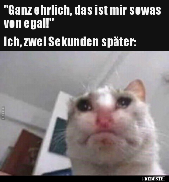 "Ganz ehrlich, das ist mir sowas von egal!"..