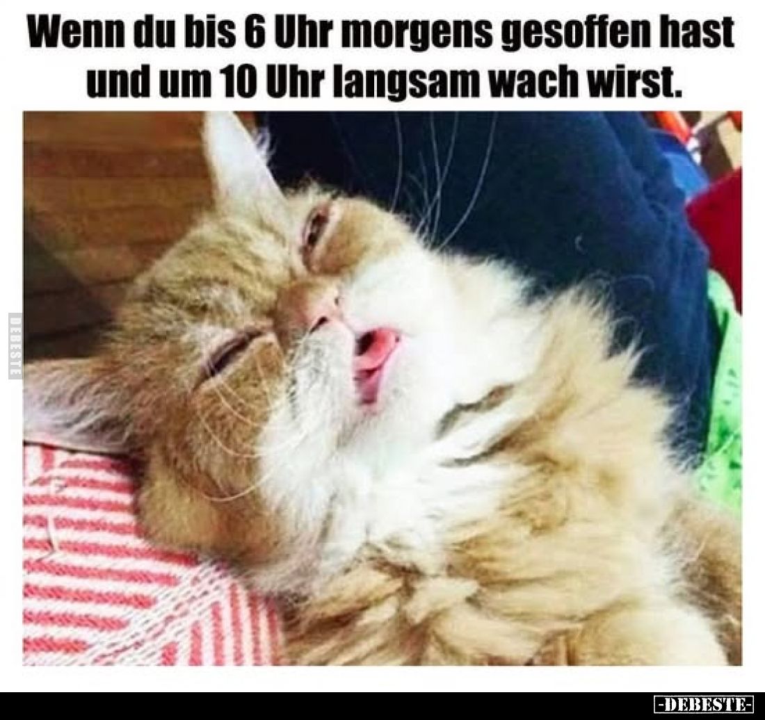 Wenn du bis 6 Uhr morgens gesoffen hast und um 10 Uhr langsam wach wirst.