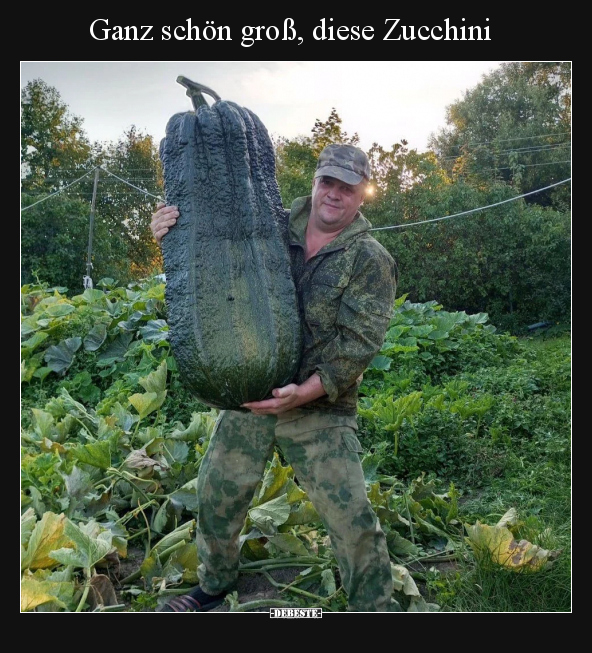 Ganz schön groß, diese Zucchini.. - Lustige Bilder | DEBESTE.de