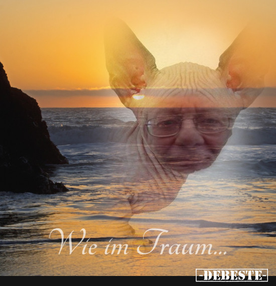  - Lustige Bilder | DEBESTE.de