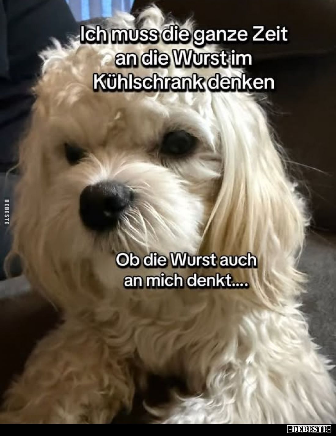 Ich muss die ganze Zeit an die Wurst im Kühlschrank denken.
Ob die Wurst auch an mich denkt....