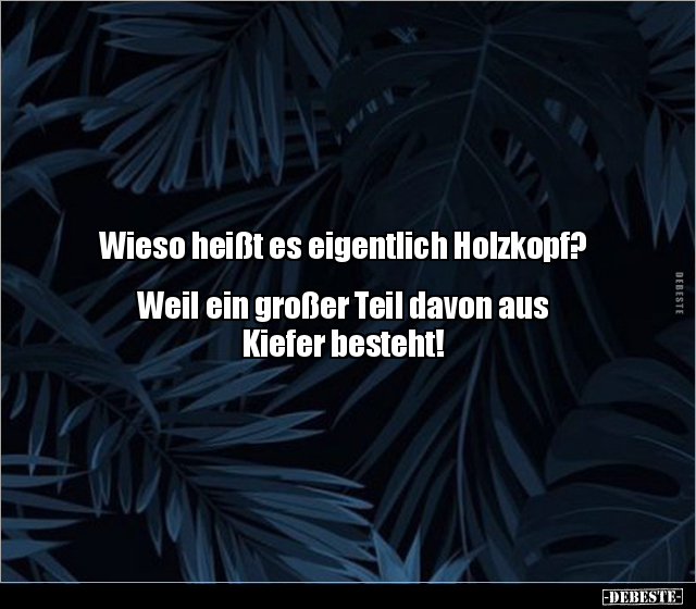 Wieso heißt es eigentlich Holzkopf?  Weil ein großer Teil.. - Lustige Bilder | DEBESTE.de
