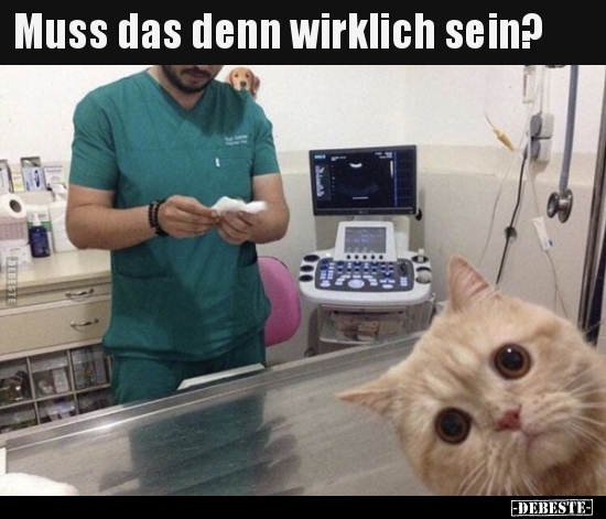 Muss das denn wirklich sein?..