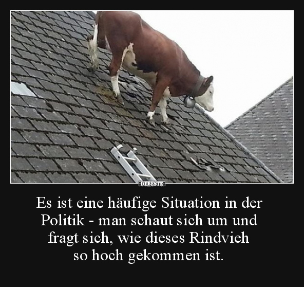 Es ist eine häufige Situation in der Politik - man schaut.. - Lustige Bilder | DEBESTE.de