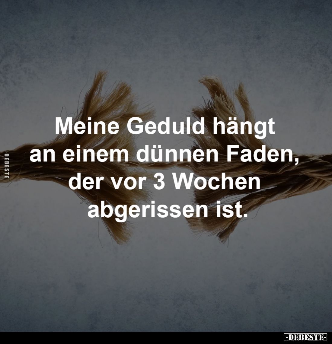 Meine Geduld hängt an einem dünnen Faden... - Lustige Bilder | DEBESTE.de