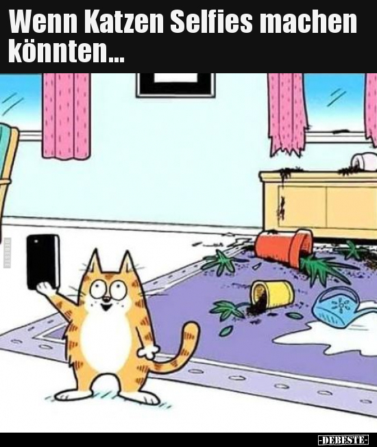 Wenn Katzen Selfies machen könnten... - Lustige Bilder | DEBESTE.de